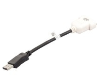 DELL DisplayPort/DVI-D Svart, Vit