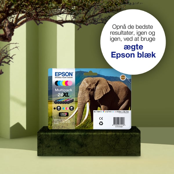 Epson Elephant 24 elefant Claria Photo HD enkeltpakke lys magenta blæk