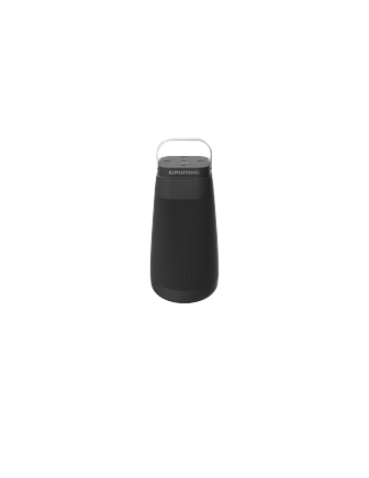 Grundig Portabel Högtalare GBT Connect 360