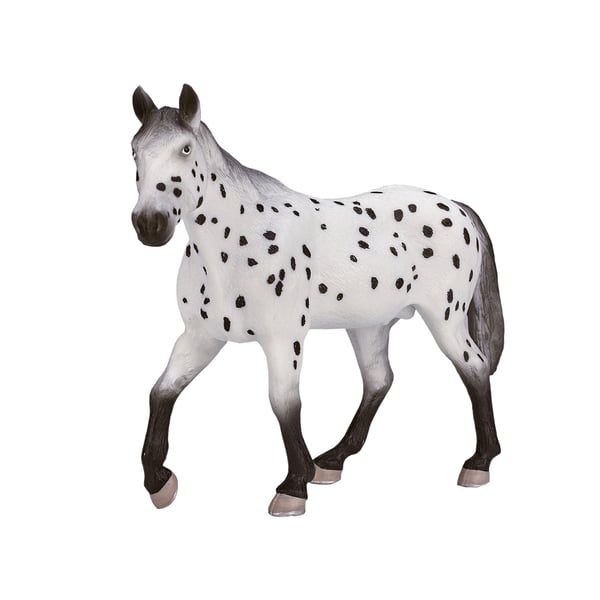 Mojo Fun Appaloosa Stallion