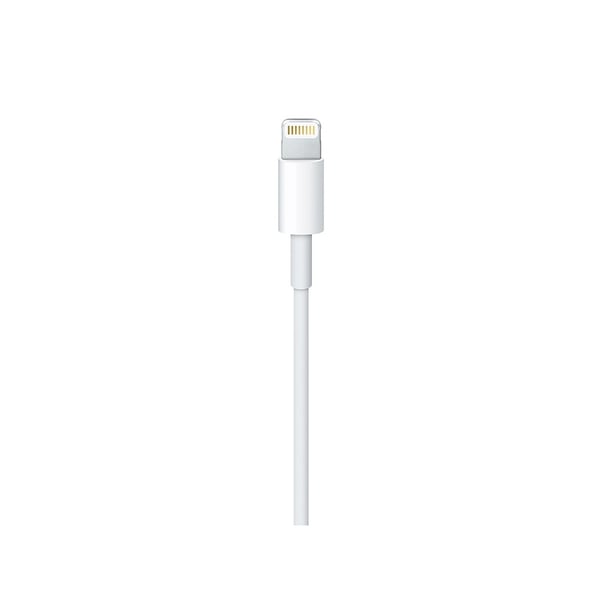 Apple 1m, lightning/USB-C Hvid