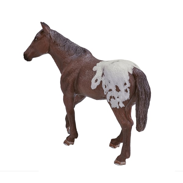 Mojo Fun Appaloosa Stallion Chestnut