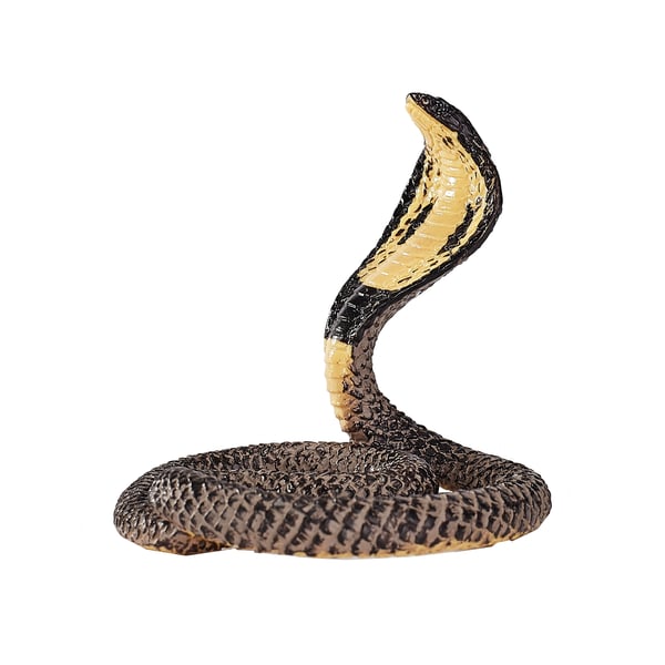 Mojo Fun King Cobra