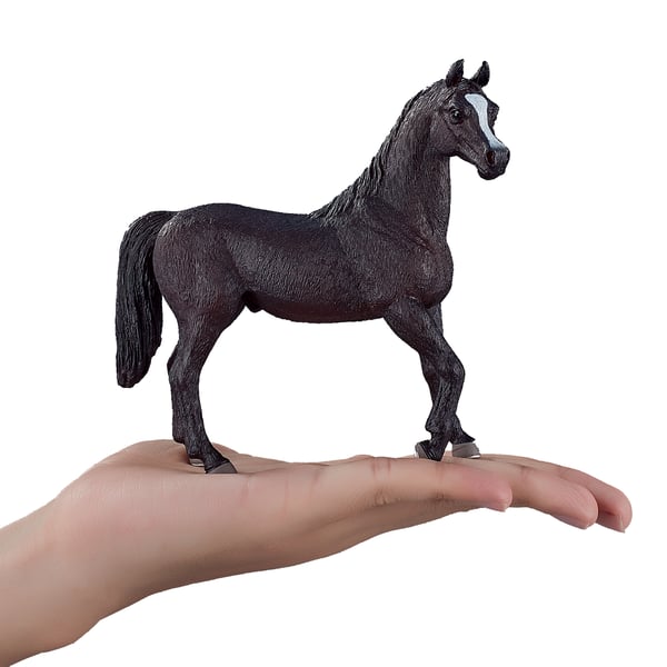 Mojo Fun Arabian Stallion Black
