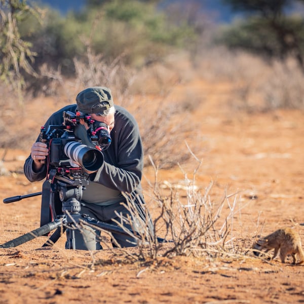 Canon EOS -1D X Mark III SLR Kamerahus 20,1 MP CMOS 5472 x 3648 pixel Sort