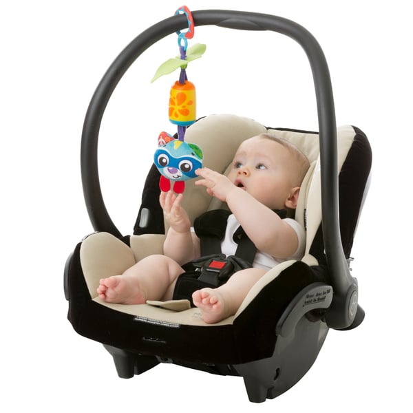 Playgro Cheeky Chimes Rocky Racoon baby uro