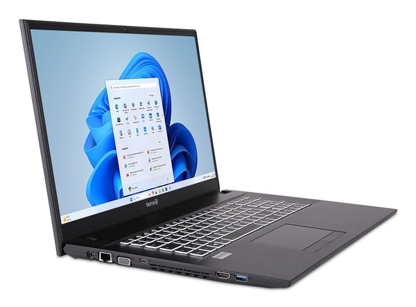 TERRA 1220855 laptop Intel® Core™ i5 i5-1334U 43,9 cm (17.3") Fuld HD 16 GB DDR4-SDRAM 500 GB SSD Wi-Fi 6 (802.11ax) Windows 11 Home Tysk Grå