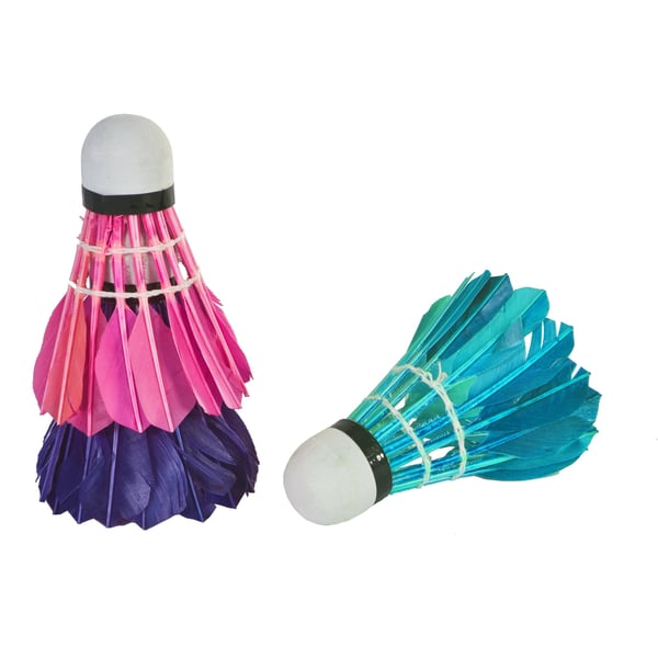 SportX 2004250 badminton ketsjer Gåsefjer Flerfarvet