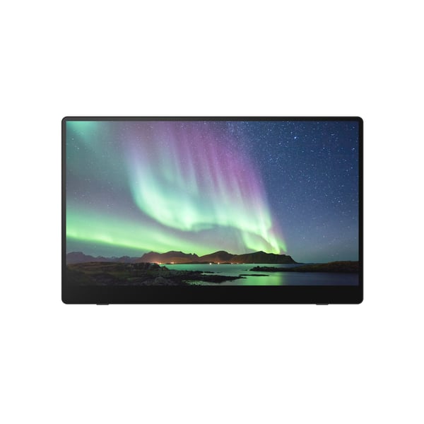 Ricoh 150BW Bärbara monitor Svart 39,6 cm (15.6") LED 1920 x 1080 pixlar