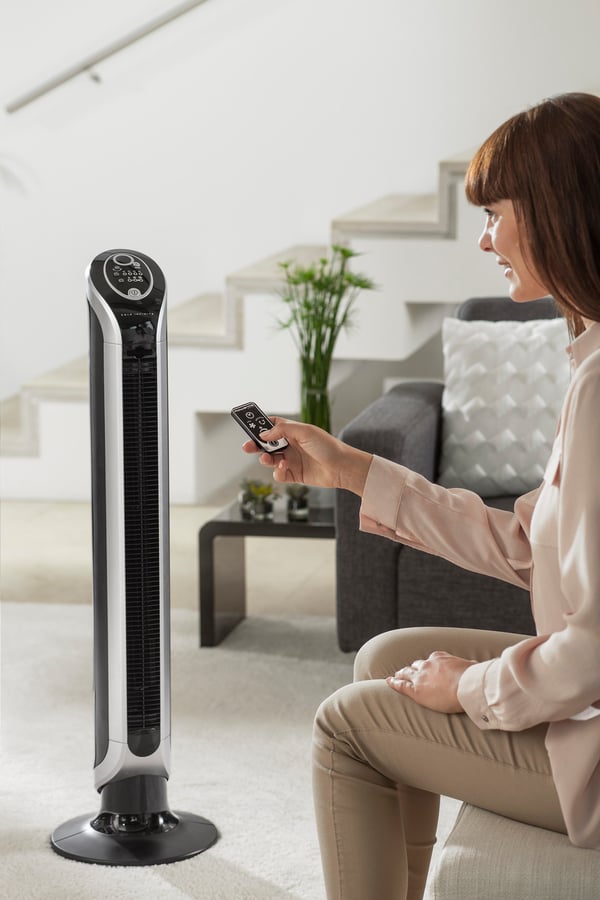Rowenta Eole VU6620 Svart, Silver