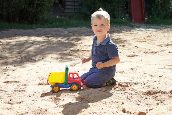 Lena Active Dump truck