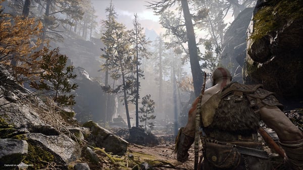 Sony Interactive Entertainment God of War Standard PlayStation 4