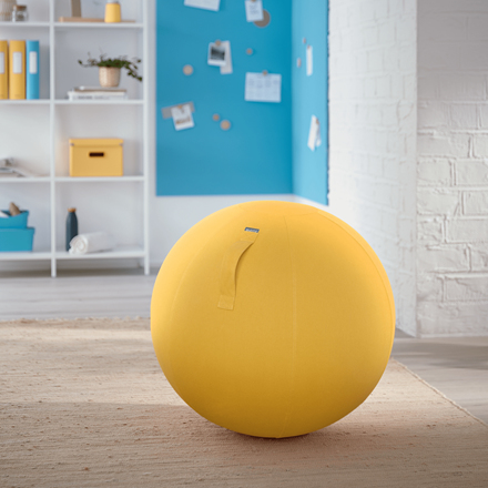 Leitz Ergo Cosy Active balancebold
