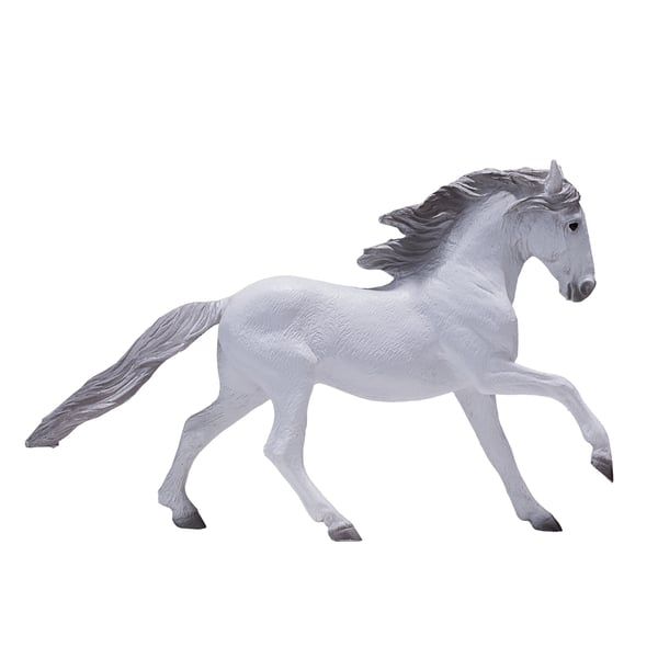 Mojo Fun Lusitano