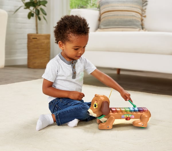 VTech Timmie Teckel Xylofoon