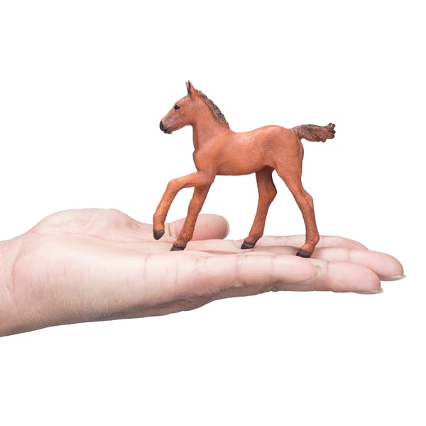 Mojo Fun Arabian Foal Chestnut