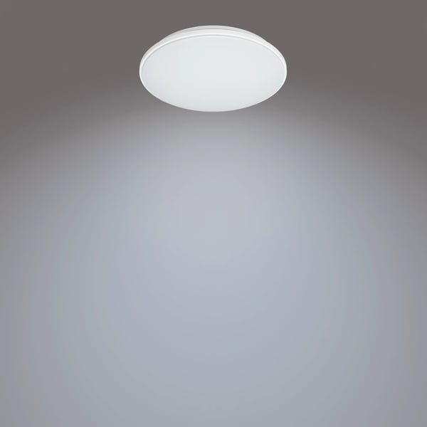 Philips Funktionel Wincel loftslampe, 40 W