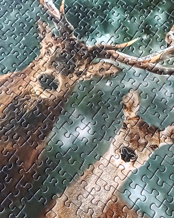 Tactic Puzzle Lovers Noble Deer 500 pcs puzzle