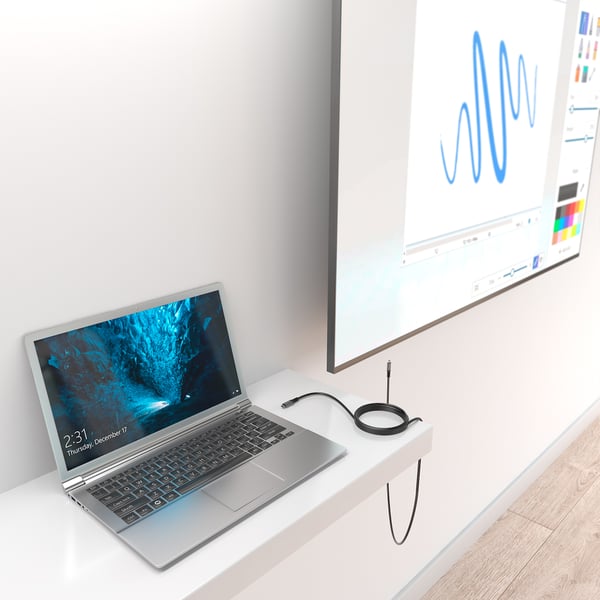 AISENS A107-0991 USB-kabel USB 3.2 Gen 1 (3.1 Gen 1) 7 m USB C 5 Gbit/sek. 60 W Sort