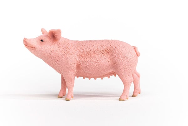 schleich FARM WORLD 13933 lasten leluhahmo