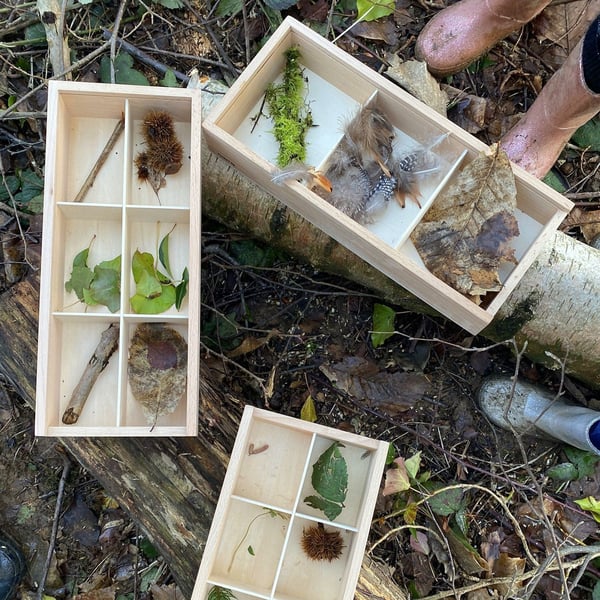 Tickit Discovery Boxes