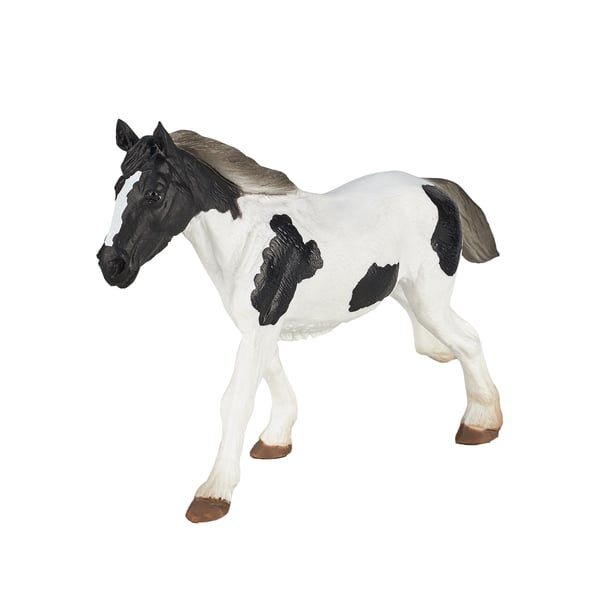Mojo Fun Irish Cob Yearling