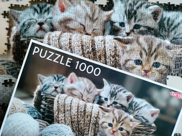 Tactic Cute Kittens 1000 pcs Puslespil 1000 stk Dyr