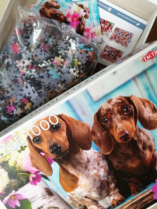 Tactic Dashing Dacshunds 1000 pcs Puslespil 1000 stk Dyr