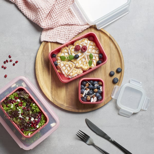 Tefal MasterSeal N10309 Rektangulær Kasse Koral 4 stk