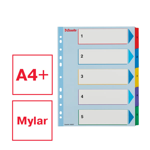 Esselte uudelleenkäytettävä rekisteri Mylar A4+