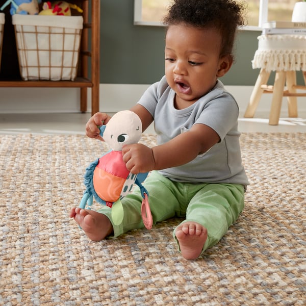 Fisher-Price Planet Friends Sea Me Bounce Turtle