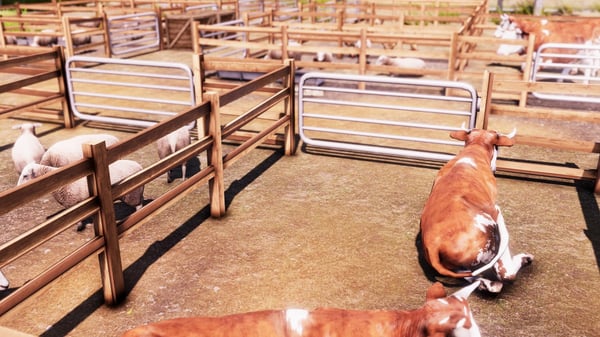 BANDAI NAMCO Entertainment Real Farm, Xbox One Standard Engelsk, Italiensk