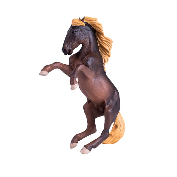 Mojo Fun Brumby Stallion