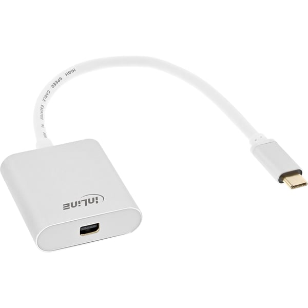 InLine 64105S videokabeladapter 0,2 m USB Type-C Mini DisplayPort Silver