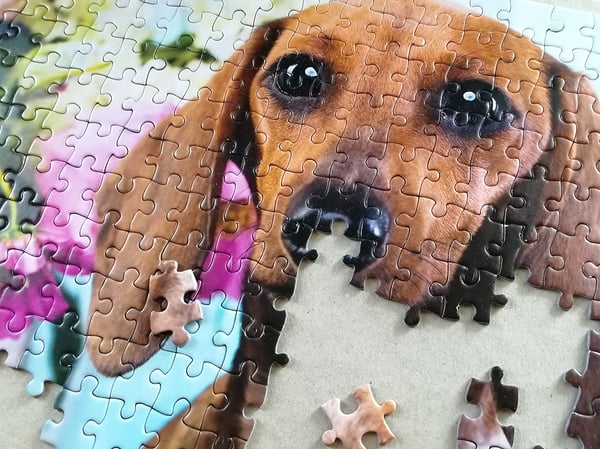 Tactic Dashing Dacshunds 1000 pcs Puslespil 1000 stk Dyr