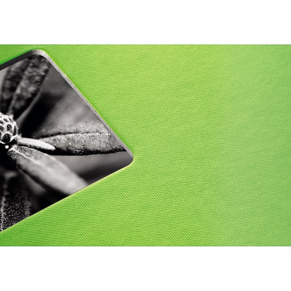 Hama Fine Art fotoalbum og arkbeskyttelse Grøn 300 ark 10 x 15 cm