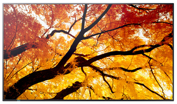 Sharp MultiSync M552 Digital fladpaneldisplay 139,7 cm (55") LCD 550 cd/m² 4K Ultra HD Sort Berøringsskærm