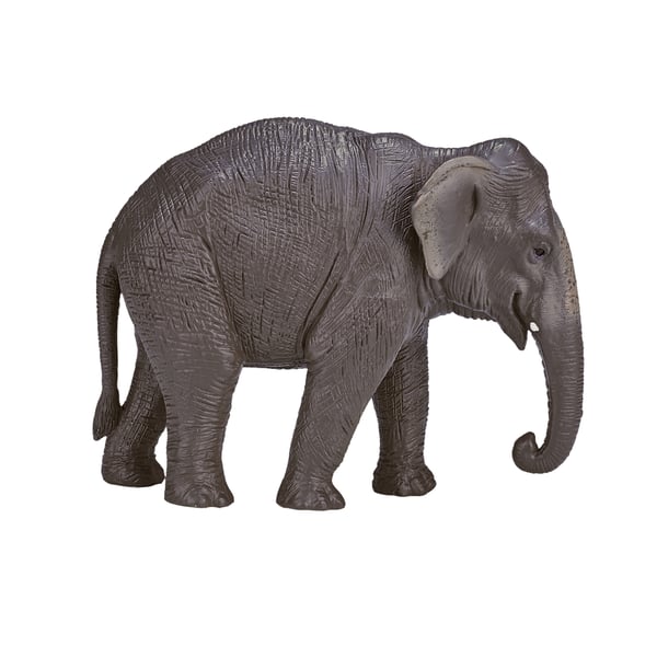 Mojo Fun Asian Elephant