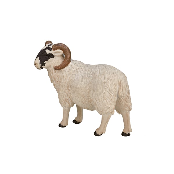 Mojo Fun Black Faced Sheep (Ram)