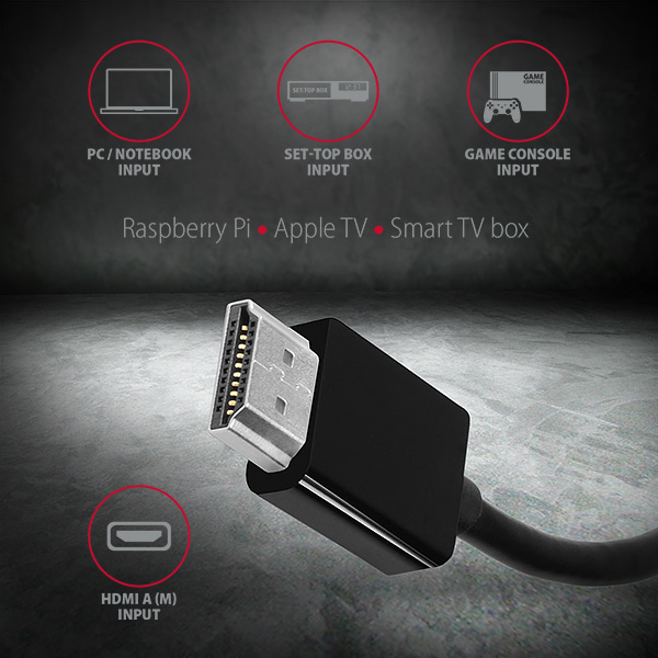 Axagon RVH-VGAN videokabeladapter 0,15 m HDMI Typ A (standard) VGA (D-Sub) Svart
