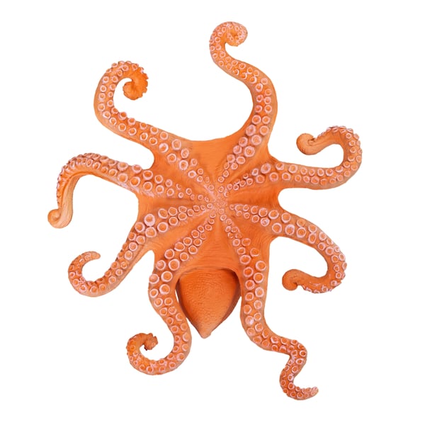 Mojo Fun Octopus