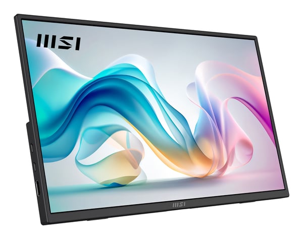 MSI PRO MP165DE E6 bärbar tv-apparat och monitor Bärbara monitor Svart 39,6 cm (15.6") LED 1920 x 1080 pixlar