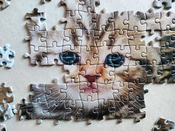Tactic Cute Kittens 1000 pcs Puslespil 1000 stk Dyr