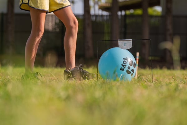 BS Toys GA557 aktive/færdighedsspil & legetøj Fodboldsæt