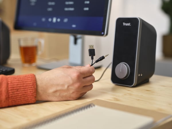 Trust 20179 högtalare Svart Kabel 14 W