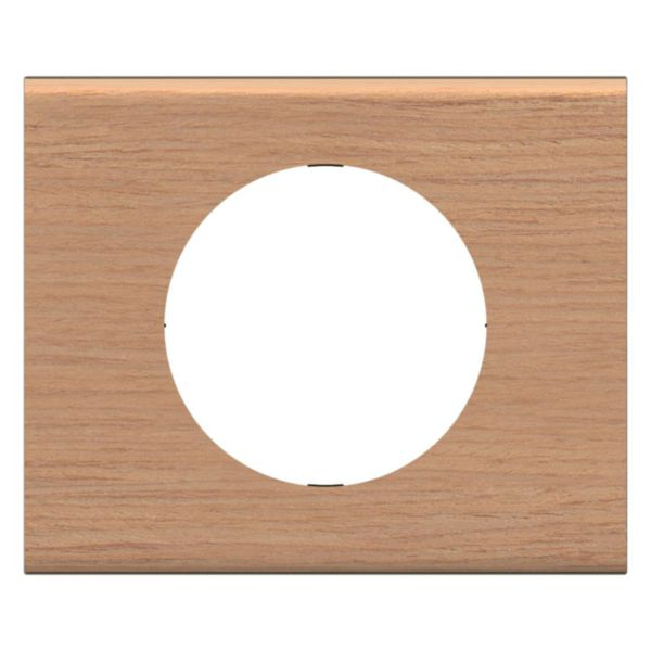 Legrand CP2401 kontaktplade & kontakthætte