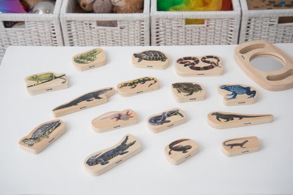 Tickit Wooden Reptile & Amphibian Blocks