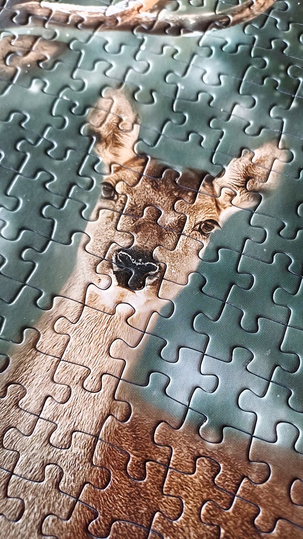 Tactic Puzzle Lovers Noble Deer 500 pcs puzzle