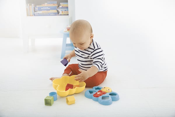 Fisher-Price Everything Baby Butterfly Shape Sorter