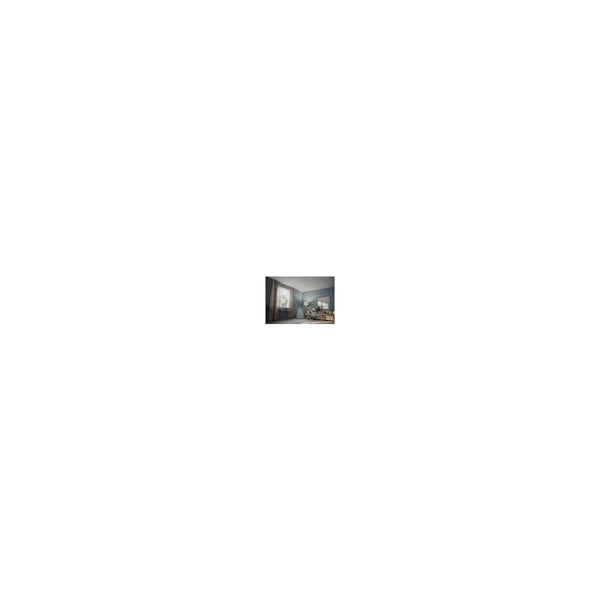 Electrolux EFWBTH3 Luftrenarfilter